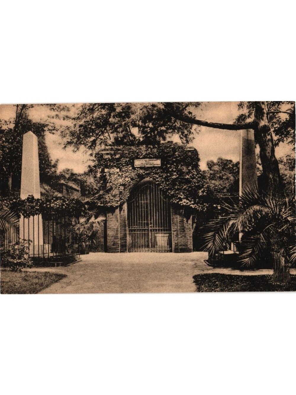 Tomb Of General George Washington Mount Vernon Virginia Vintage Unused Postcard